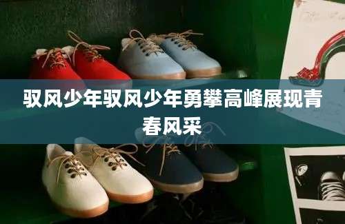 驭风少年驭风少年勇攀高峰展现青春风采