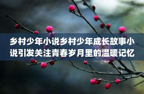 乡村少年小说乡村少年成长故事小说引发关注青春岁月里的温暖记忆