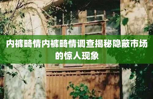 内裤畸情内裤畸情调查揭秘隐蔽市场的惊人现象