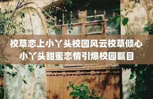 校草恋上小丫头校园风云校草倾心小丫头甜蜜恋情引爆校园瞩目