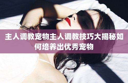 主人调教宠物主人调教技巧大揭秘如何培养出优秀宠物
