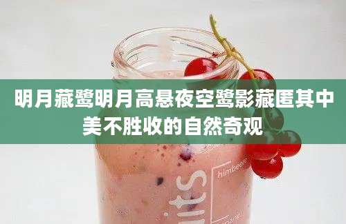 明月藏鹭明月高悬夜空鹭影藏匿其中美不胜收的自然奇观