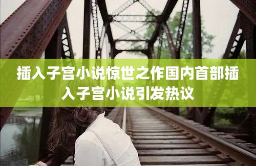 插入子宫小说惊世之作国内首部插入子宫小说引发热议