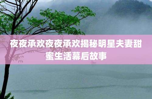 夜夜承欢夜夜承欢揭秘明星夫妻甜蜜生活幕后故事