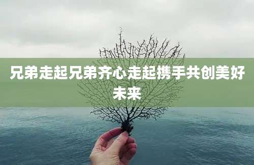 兄弟走起兄弟齐心走起携手共创美好未来