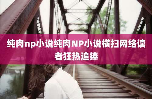 纯肉np小说纯肉NP小说横扫网络读者狂热追捧