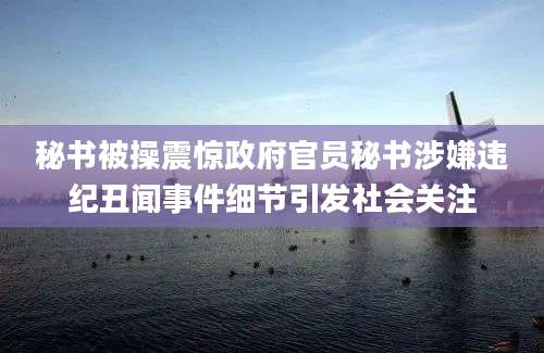 秘书被操震惊政府官员秘书涉嫌违纪丑闻事件细节引发社会关注