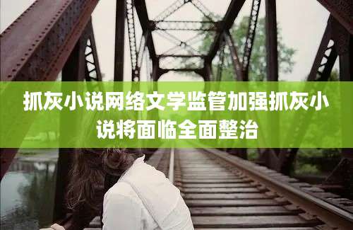 抓灰小说网络文学监管加强抓灰小说将面临全面整治