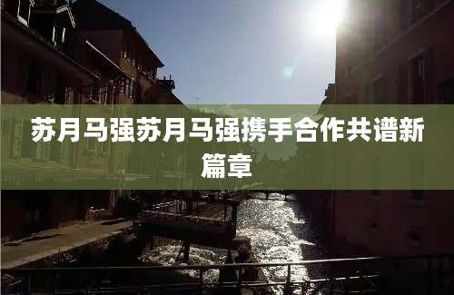 苏月马强苏月马强携手合作共谱新篇章