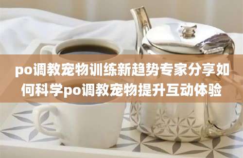 po调教宠物训练新趋势专家分享如何科学po调教宠物提升互动体验