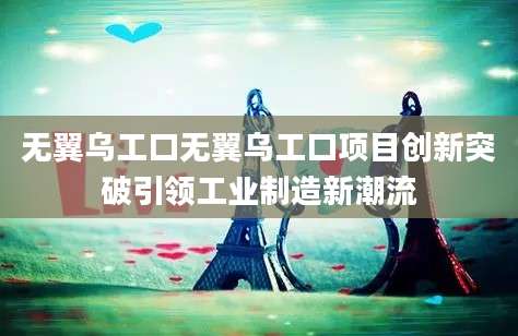 无翼乌工口无翼乌工口项目创新突破引领工业制造新潮流