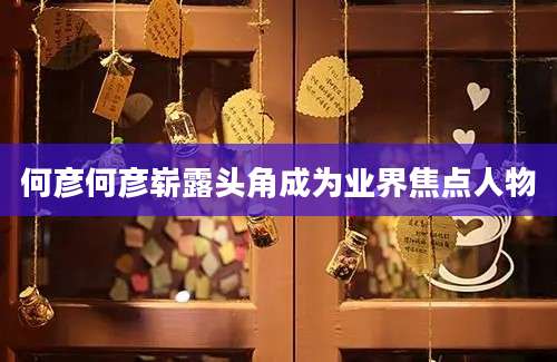 何彦何彦崭露头角成为业界焦点人物