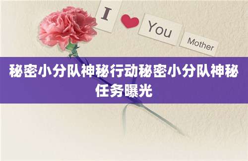秘密小分队神秘行动秘密小分队神秘任务曝光