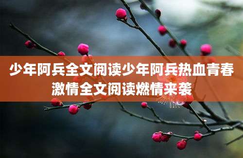 少年阿兵全文阅读少年阿兵热血青春激情全文阅读燃情来袭