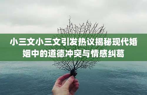 小三文小三文引发热议揭秘现代婚姻中的道德冲突与情感纠葛