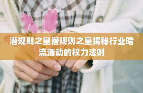 潜规则之皇潜规则之皇揭秘行业暗流涌动的权力法则