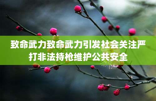 致命武力致命武力引发社会关注严打非法持枪维护公共安全
