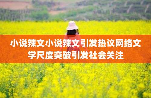 小说辣文小说辣文引发热议网络文学尺度突破引发社会关注