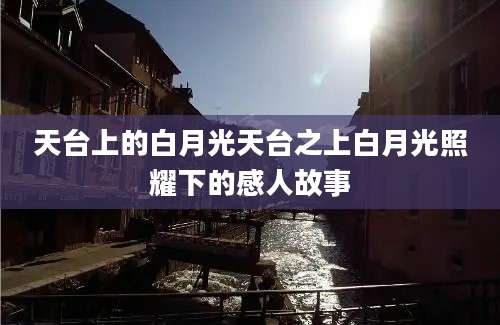 天台上的白月光天台之上白月光照耀下的感人故事