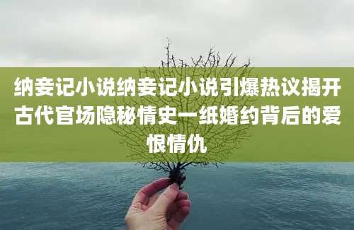 纳妾记小说纳妾记小说引爆热议揭开古代官场隐秘情史一纸婚约背后的爱恨情仇