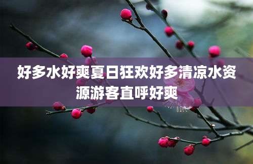 好多水好爽夏日狂欢好多清凉水资源游客直呼好爽