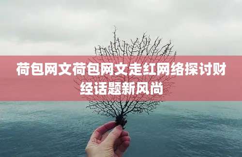 荷包网文荷包网文走红网络探讨财经话题新风尚