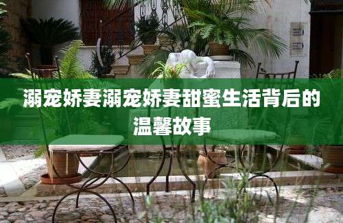 溺宠娇妻溺宠娇妻甜蜜生活背后的温馨故事