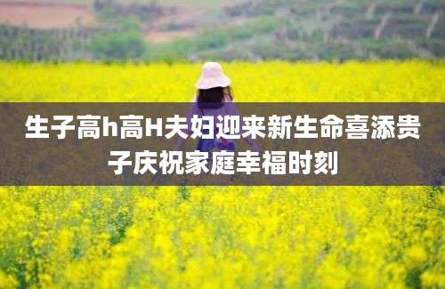 生子高h高H夫妇迎来新生命喜添贵子庆祝家庭幸福时刻