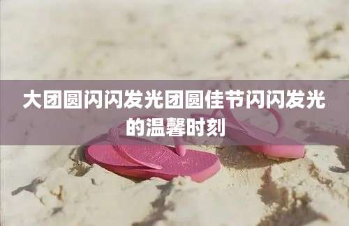大团圆闪闪发光团圆佳节闪闪发光的温馨时刻