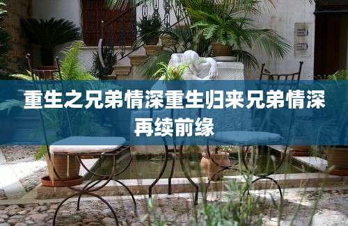 重生之兄弟情深重生归来兄弟情深再续前缘