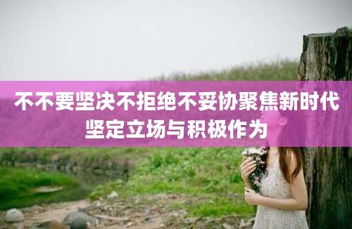 不不要坚决不拒绝不妥协聚焦新时代坚定立场与积极作为