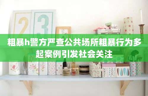 粗暴h警方严查公共场所粗暴行为多起案例引发社会关注