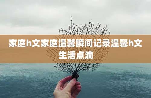 家庭h文家庭温馨瞬间记录温馨h文生活点滴
