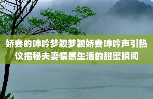 娇妻的呻吟梦颖梦颖娇妻呻吟声引热议揭秘夫妻情感生活的甜蜜瞬间