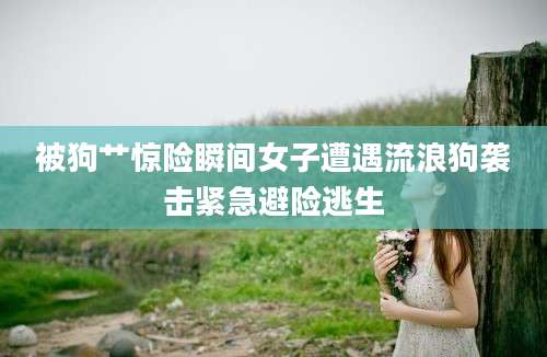 被狗艹惊险瞬间女子遭遇流浪狗袭击紧急避险逃生