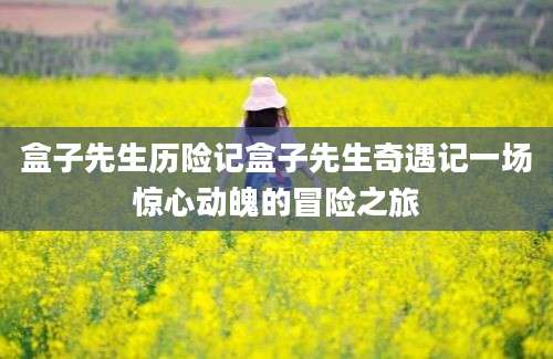 盒子先生历险记盒子先生奇遇记一场惊心动魄的冒险之旅