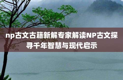 np古文古籍新解专家解读NP古文探寻千年智慧与现代启示