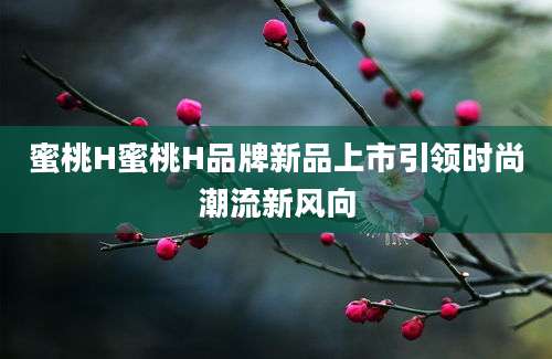 蜜桃H蜜桃H品牌新品上市引领时尚潮流新风向