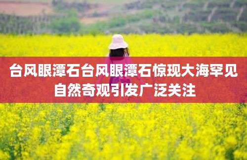 台风眼潭石台风眼潭石惊现大海罕见自然奇观引发广泛关注