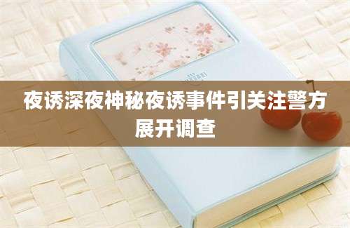 夜诱深夜神秘夜诱事件引关注警方展开调查