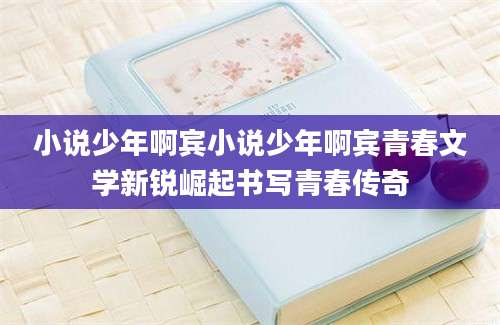 小说少年啊宾小说少年啊宾青春文学新锐崛起书写青春传奇