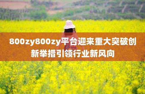800zy800zy平台迎来重大突破创新举措引领行业新风向