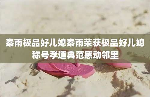 秦雨极品好儿媳秦雨荣获极品好儿媳称号孝道典范感动邻里