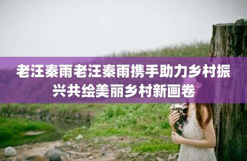 老汪秦雨老汪秦雨携手助力乡村振兴共绘美丽乡村新画卷