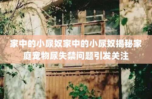 家中的小尿奴家中的小尿奴揭秘家庭宠物尿失禁问题引发关注