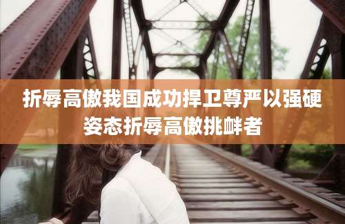 折辱高傲我国成功捍卫尊严以强硬姿态折辱高傲挑衅者