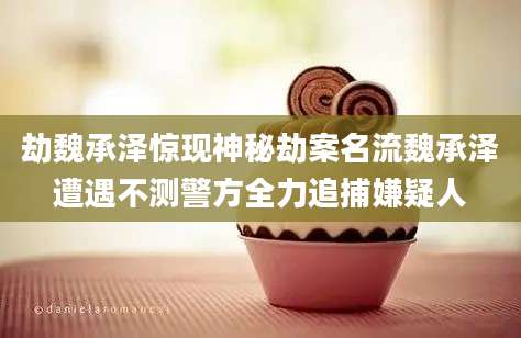 劫魏承泽惊现神秘劫案名流魏承泽遭遇不测警方全力追捕嫌疑人