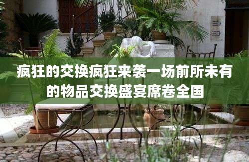 疯狂的交换疯狂来袭一场前所未有的物品交换盛宴席卷全国