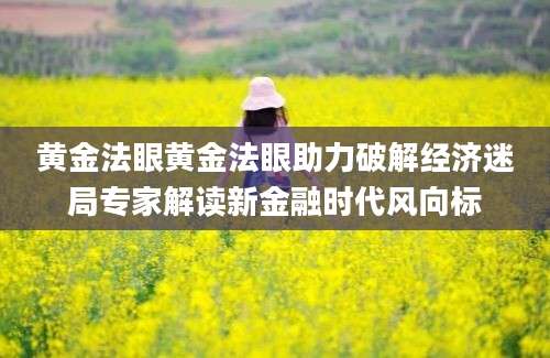 黄金法眼黄金法眼助力破解经济迷局专家解读新金融时代风向标