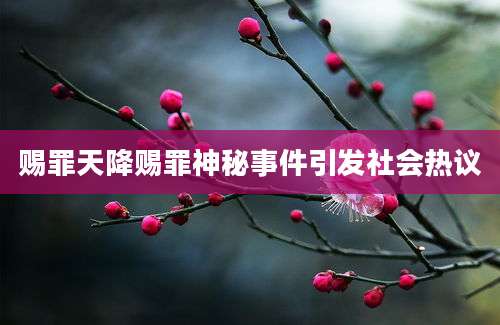 赐罪天降赐罪神秘事件引发社会热议